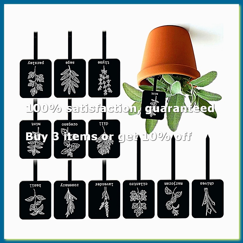 Gardening Tools Names - 24개 아크릴 식물 라벨 표지판 12가지