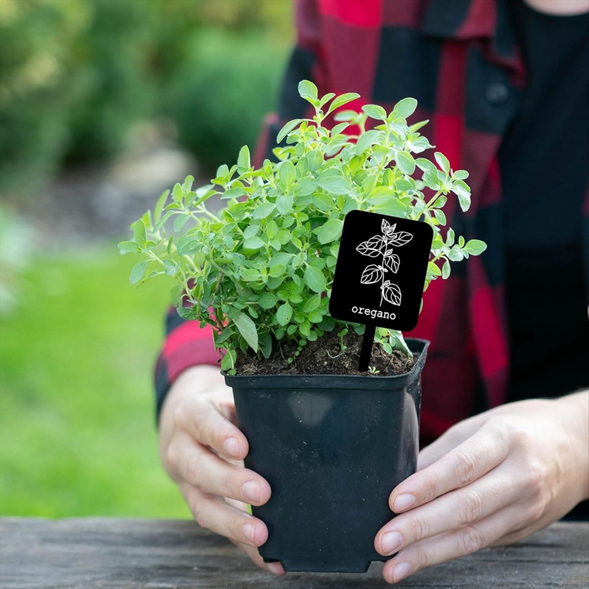 Gardening Tools Names - AA14 24개 아크릴 식물 라벨 표지판