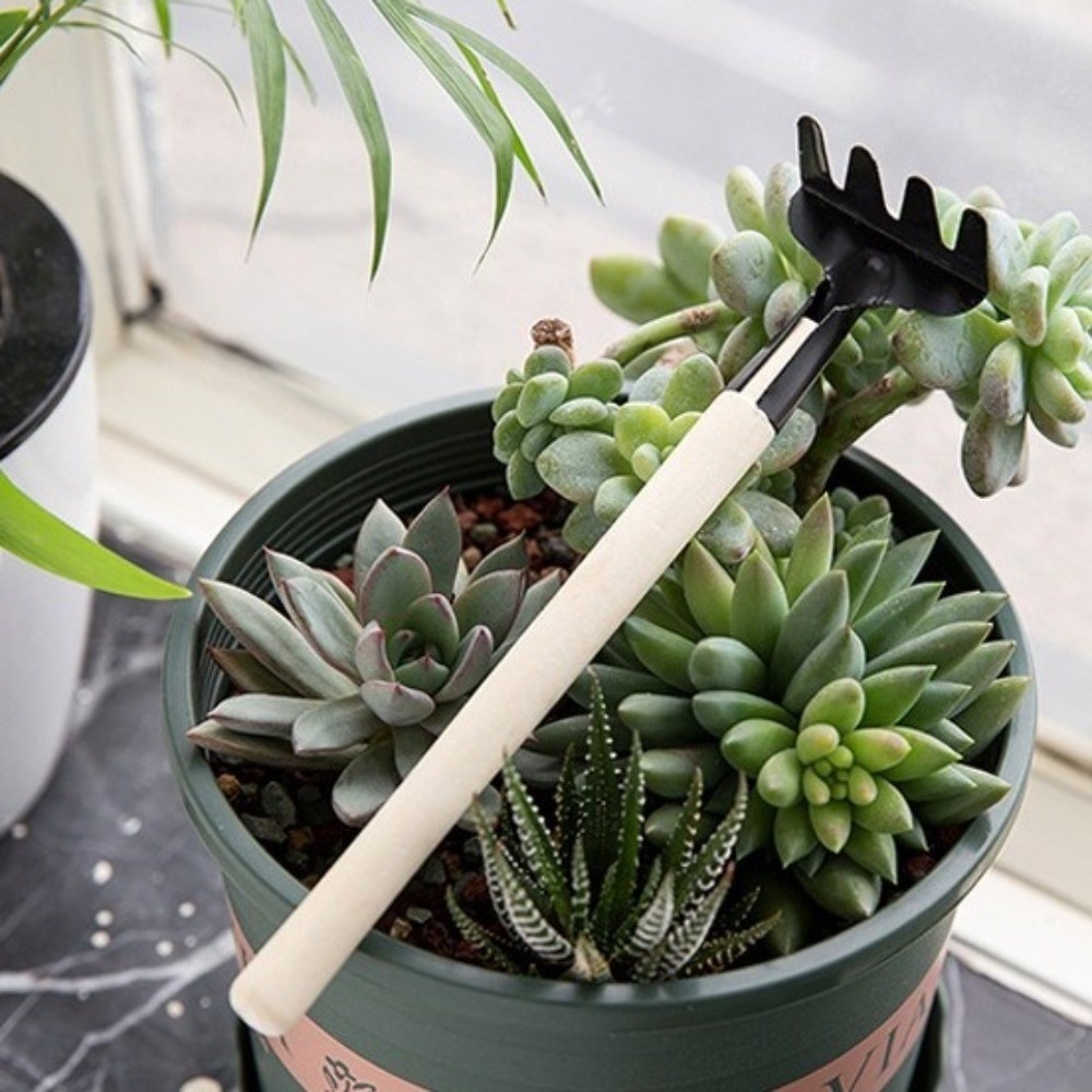 다기능 미니 정원 심기 도구 세트 흙 파는 삽 튼튼한  - Spade Digging Fork 리뷰 및 가격
