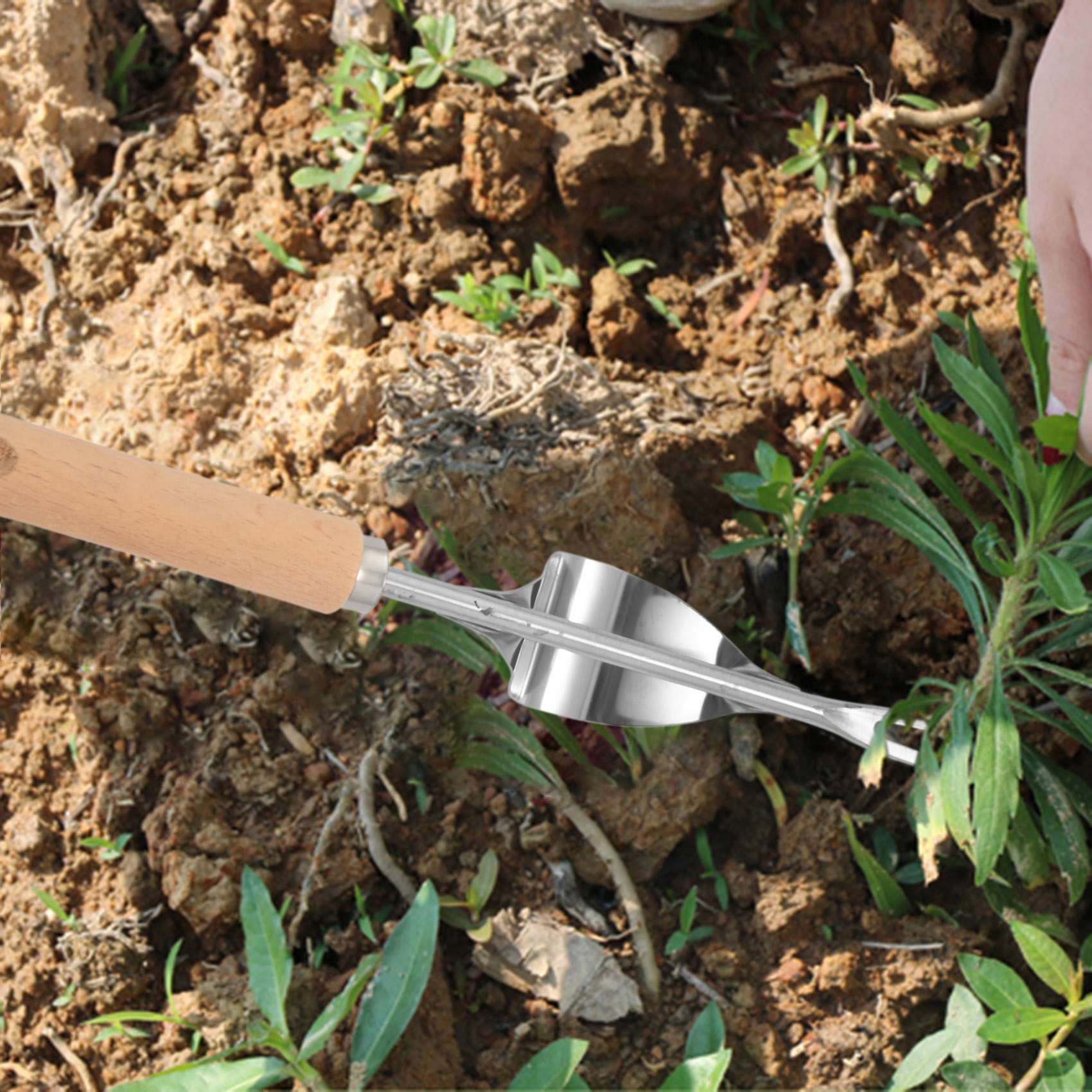 ABGE-나무 손잡이 스테인리스 스틸 정원 제초기 수동 - Weed Puller 리뷰 및 가격