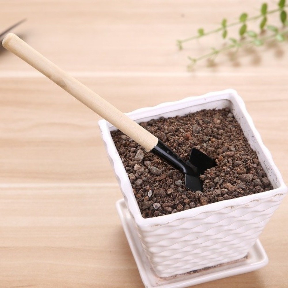 다기능 미니 정원 심기 도구 세트 나무 손잡이 흙 파기 - Spade Digging Fork 리뷰 및 가격