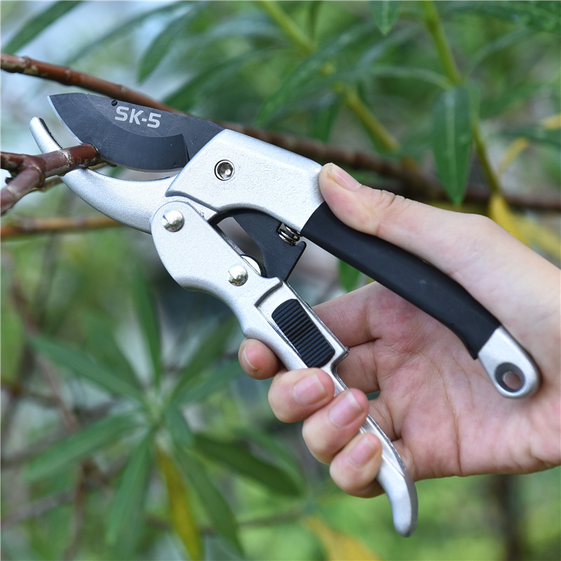 원예용 래칫 식물 트림, 손 가위, 과수원 가지 치기, - Garden Hand Trowel 리뷰 및 가격