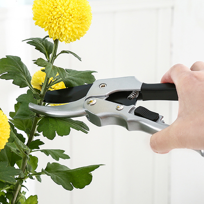 원예용 래칫 식물 트림, 손 가위, 과수원 가지 치기, - Garden Hand Trowel 리뷰 및 가격