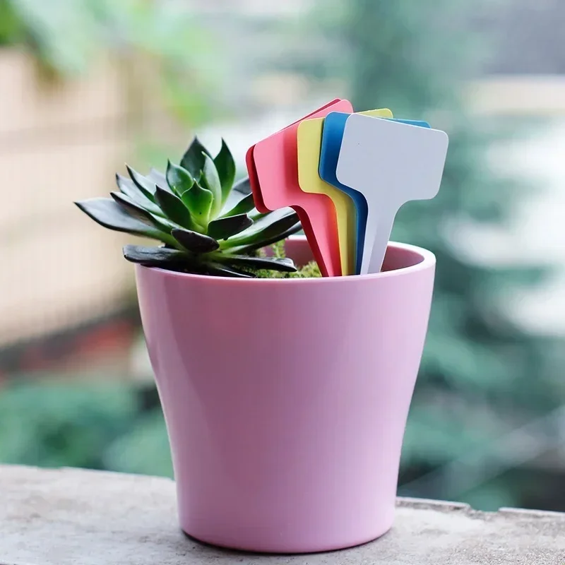 20 Pcs 플라스틱 방수 식물 이름 태그 스트립 라인 - Gardening Tools Names 리뷰 및 가격