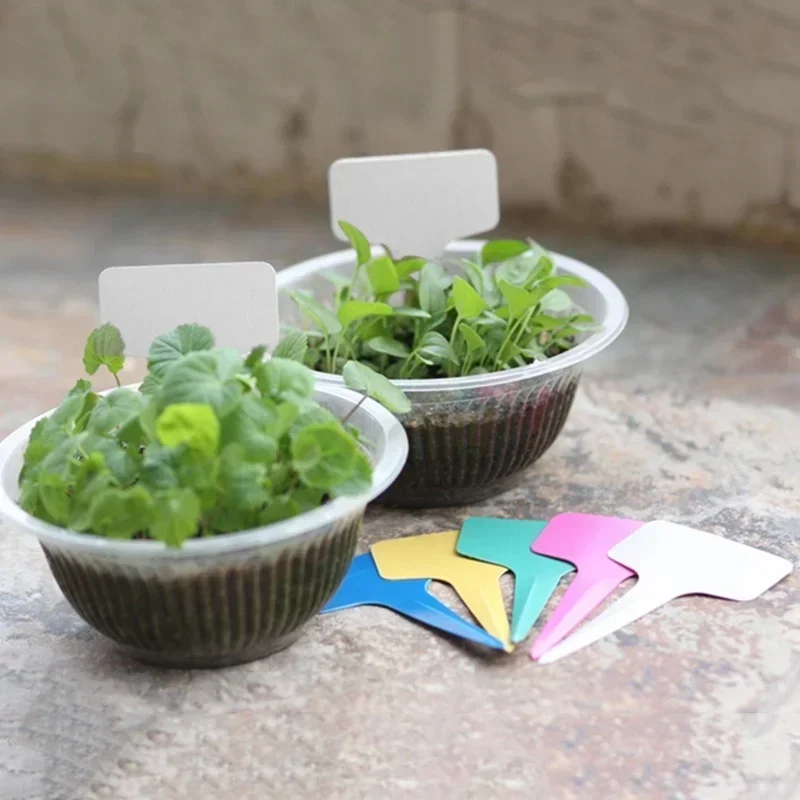 20 Pcs 플라스틱 방수 식물 이름 태그 스트립 라인 - Gardening Tools Names 리뷰 및 가격