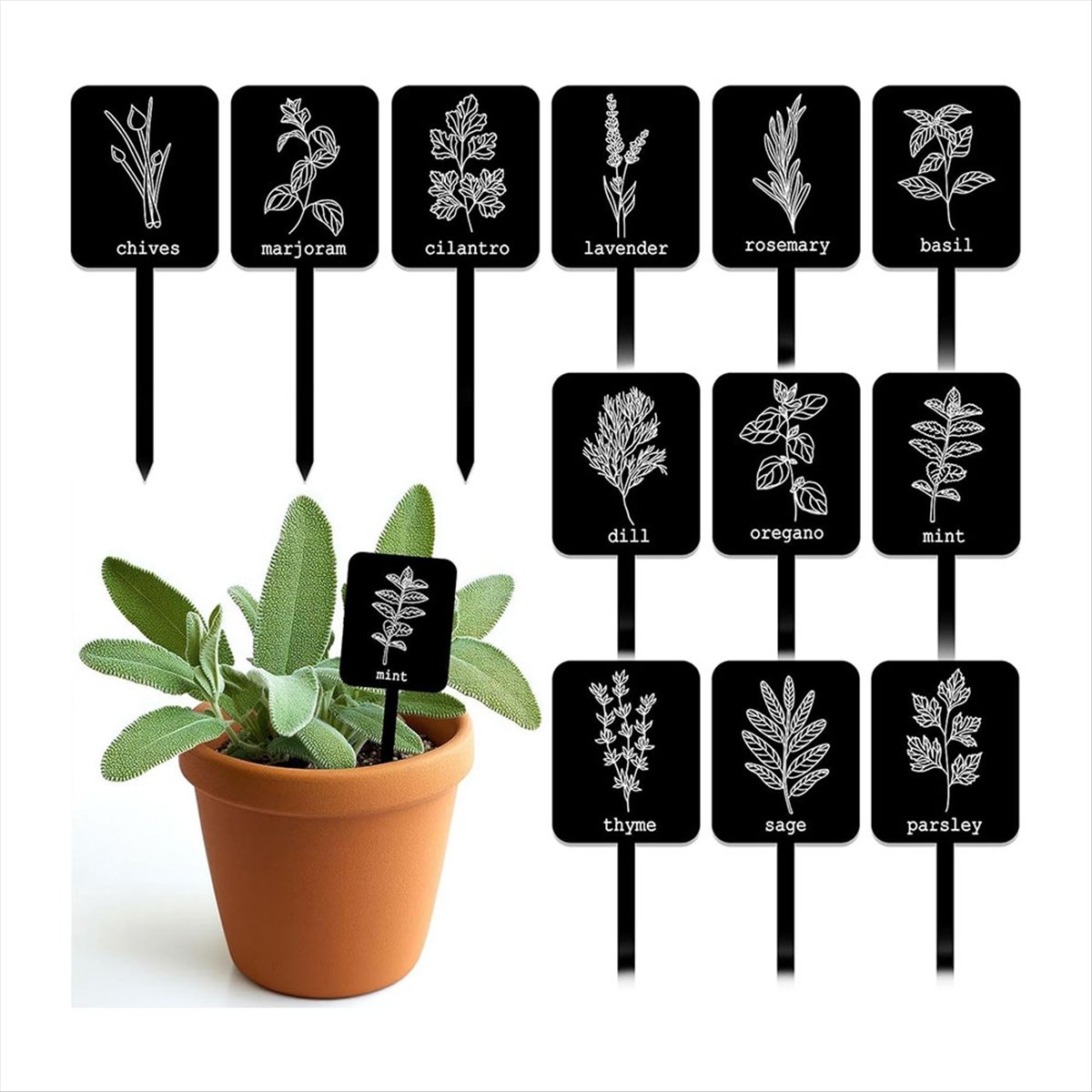 AA14 24개 아크릴 식물 라벨 표지판 12가지 스타 - Gardening Tools Names 리뷰 및 가격