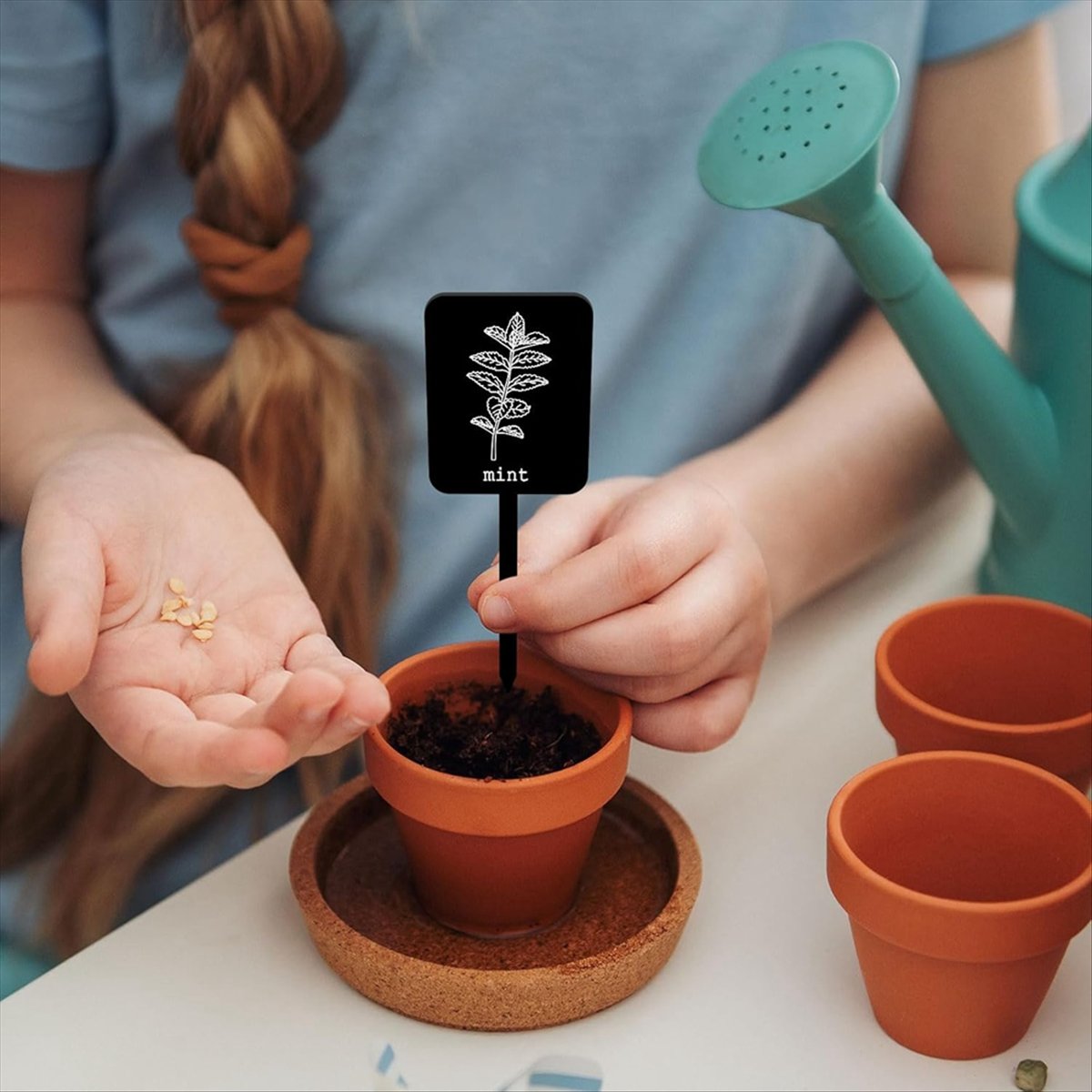AA14 24개 아크릴 식물 라벨 표지판 12가지 스타 - Gardening Tools Names 리뷰 및 가격